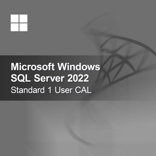Microsoft SQL Server 2022 Standard 1 Χρήστης CAL