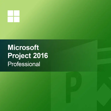 Microsoft Project 2016 Profesyonel
