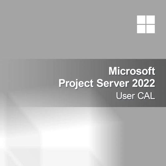 Microsoft Project Server 2022 Licenza Utente CAL