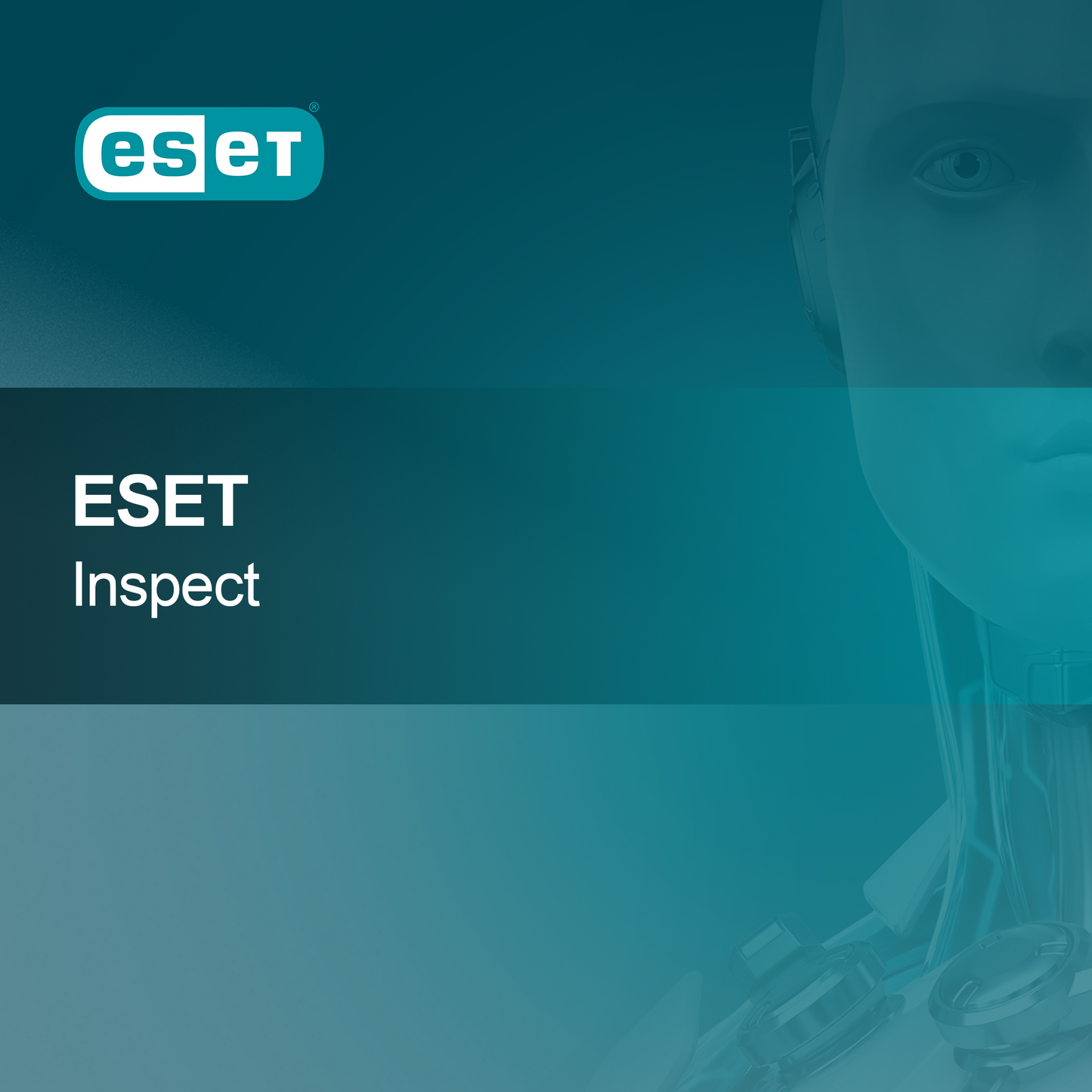 ESET Inspecionar